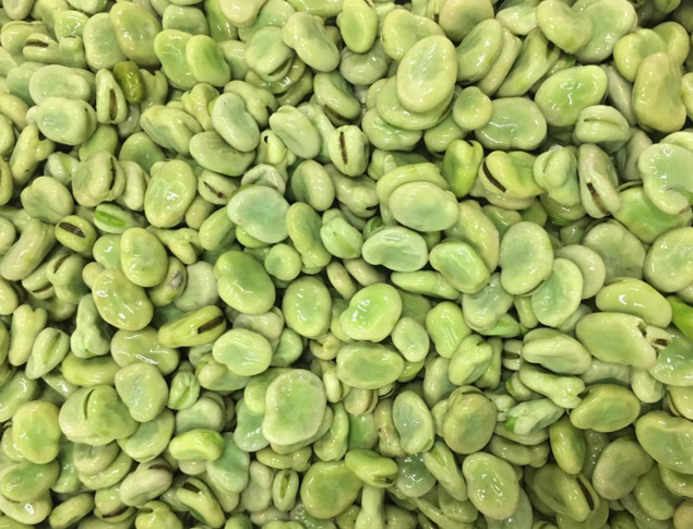 好料