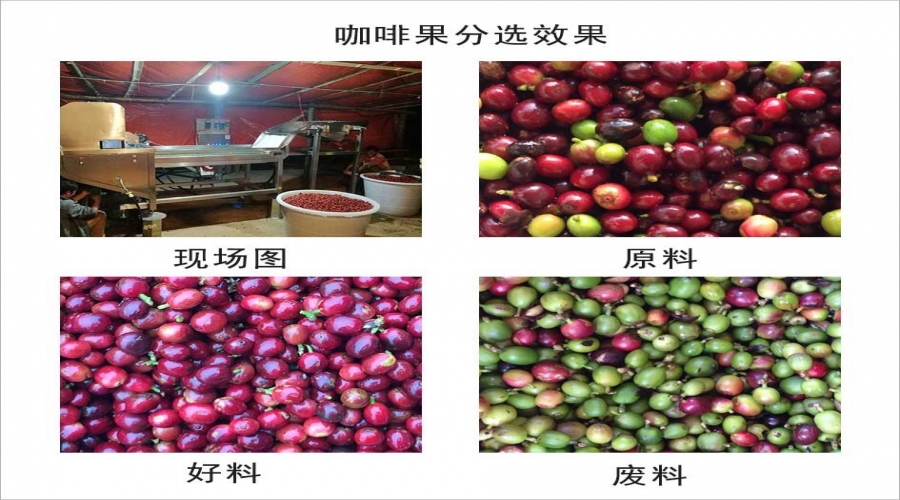 hy590海洋之神检测中心·(中国)有限公司官网