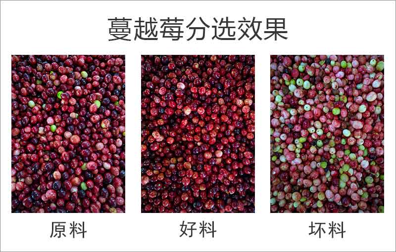 hy590海洋之神检测中心·(中国)有限公司官网